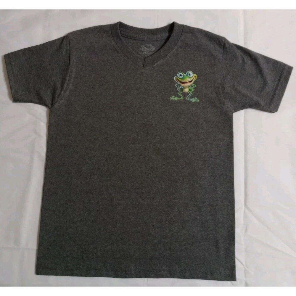 Girl's Graphic Funny Frog Pullover Gray V-Neck T-Shirt Sz XS(4/5) Tee School New